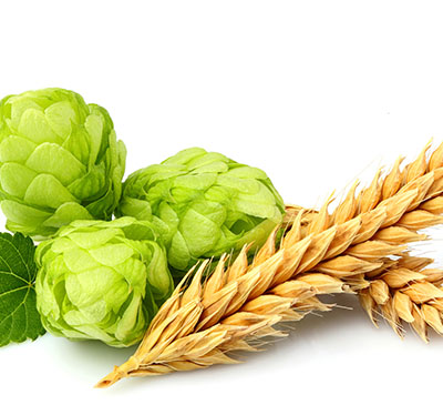 Hops Market by Type and Geography - Forecast and Analysis 2020-2024